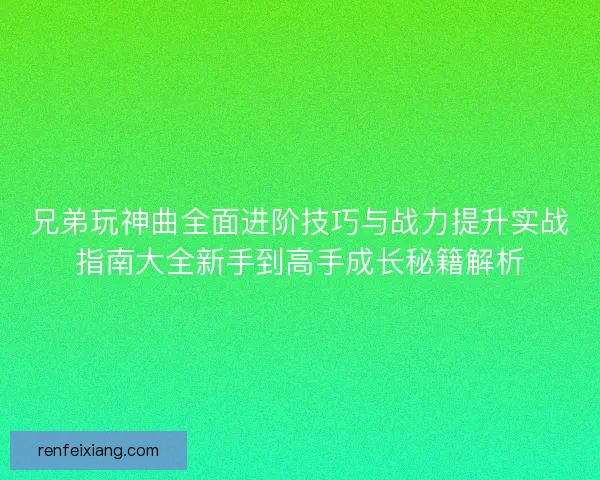兄弟玩神曲全面进阶技巧与战力提升实战指南大全新手到高手成长秘籍解析